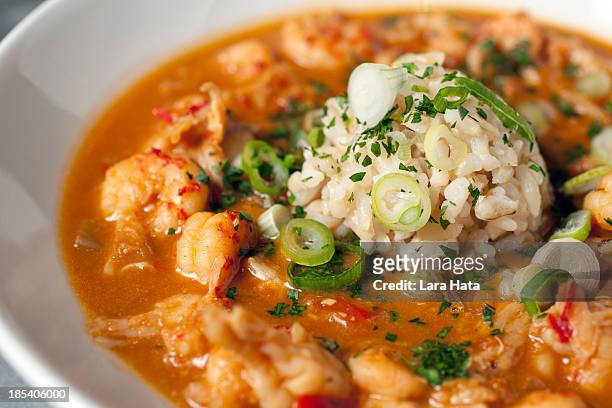 authentic crawfish etoufee in a clean white dish - new orleans stock pictures, royalty-free photos & images