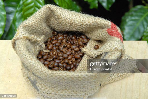 coffee beans - costa rica coffee stock pictures, royalty-free photos & images