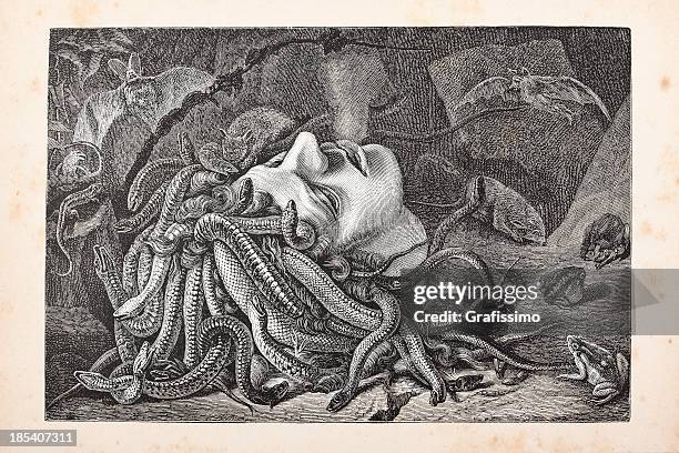 ilustraciones, imágenes clip art, dibujos animados e iconos de stock de cabeza de medusa de grabado de yacer en el suelo de 1.875 - decapitado