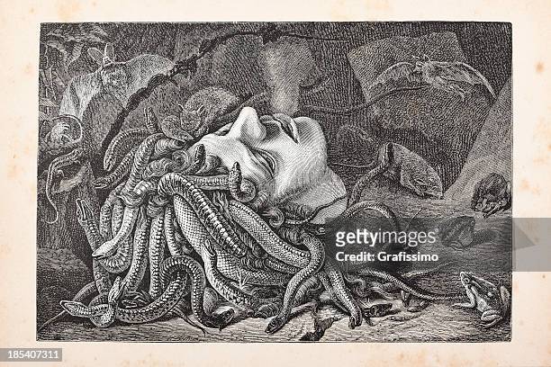 engraving medusa head lying on floor from 1875 - medusa stock illustrations