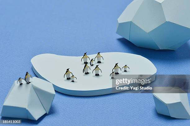 penguin has been drifting in the sea ice - japan penguin stock pictures, royalty-free photos & images