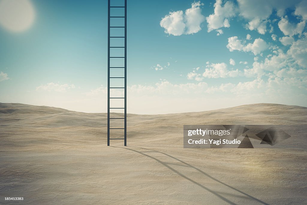 Ladder and desert