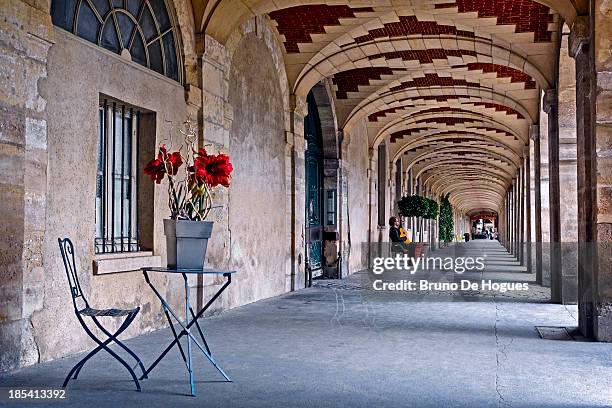 le marais district in paris, france - place des vosges stockfoto's en -beelden