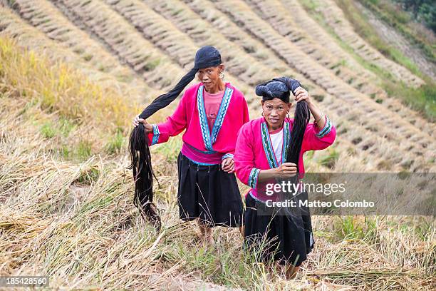 yao ethnic minority women on rice terrace, china - guangxi 個照片及圖片檔