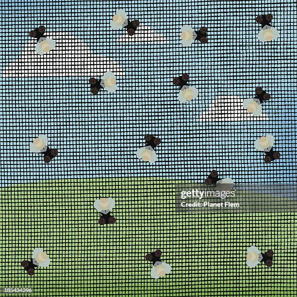 trapped flies - fruit fly trap stock illustrations