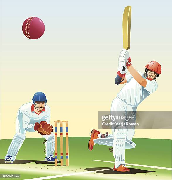 game of cricket - cricket stock illustrations