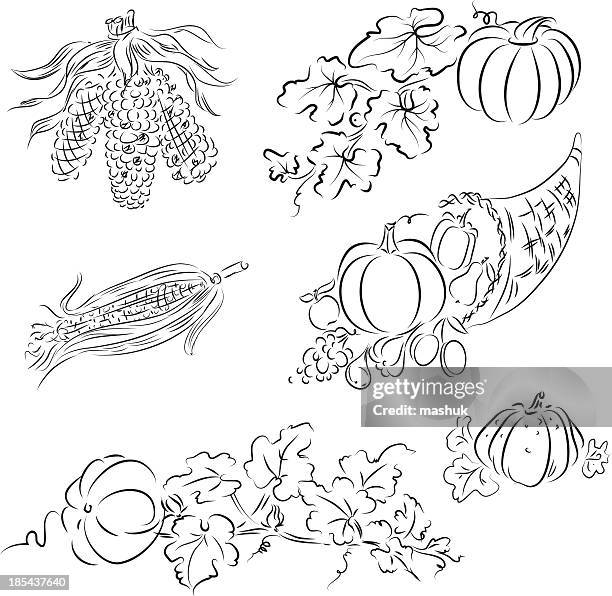 thanksgiving - cornucopia isolated stock illustrations