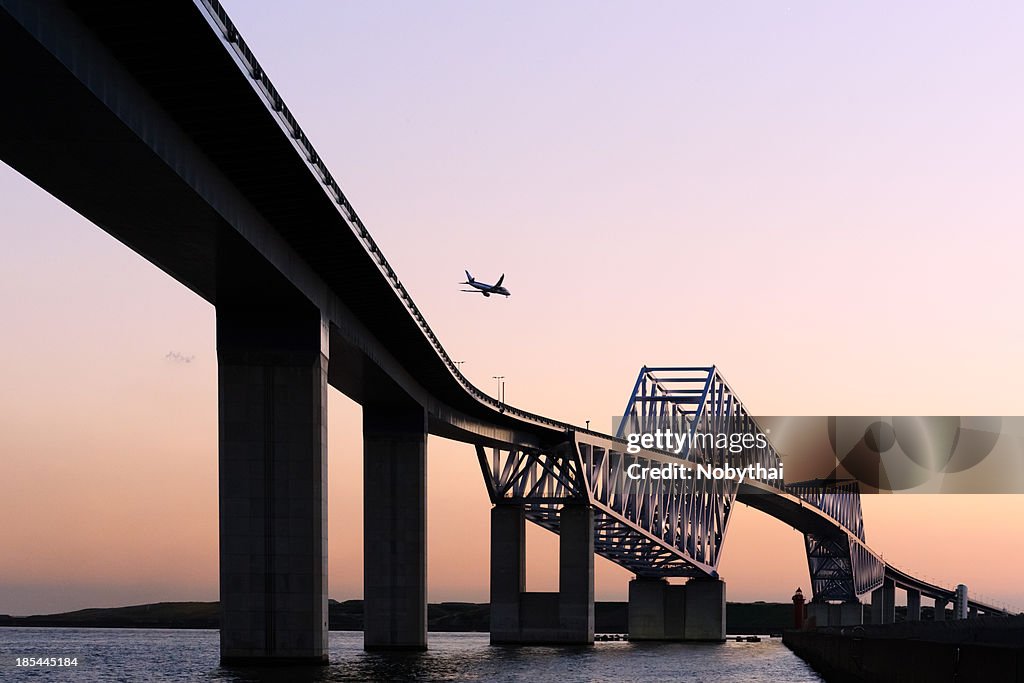 Tokyo Gate Bridge