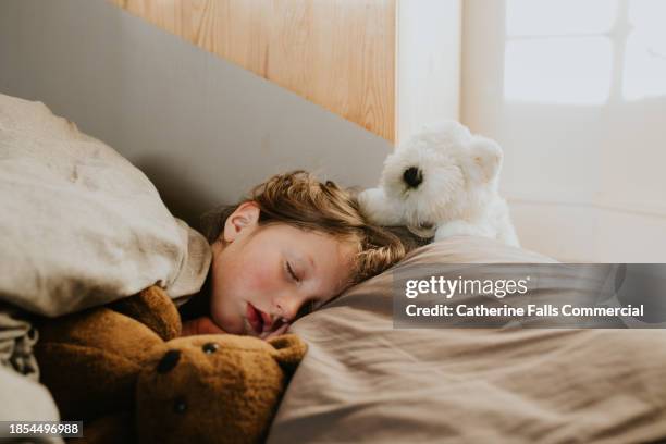 a sleeping child is cozy in bed, beside a teddy bear - cozy stock pictures, royalty-free photos & images