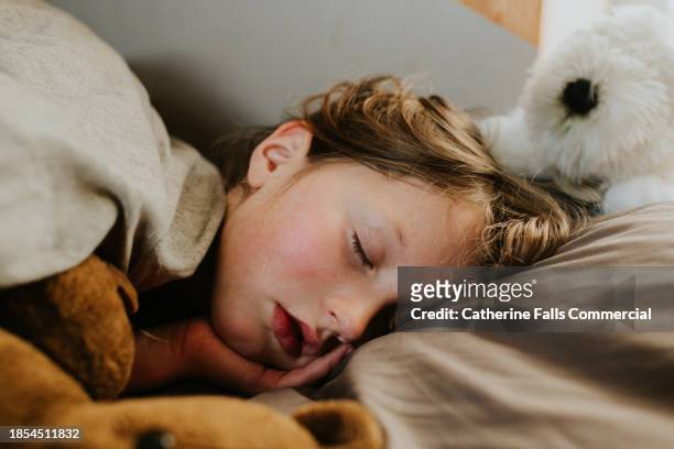 a sleepy child is cozy in bed, beside a teddy bear - cozy stock pictures, royalty-free photos & images