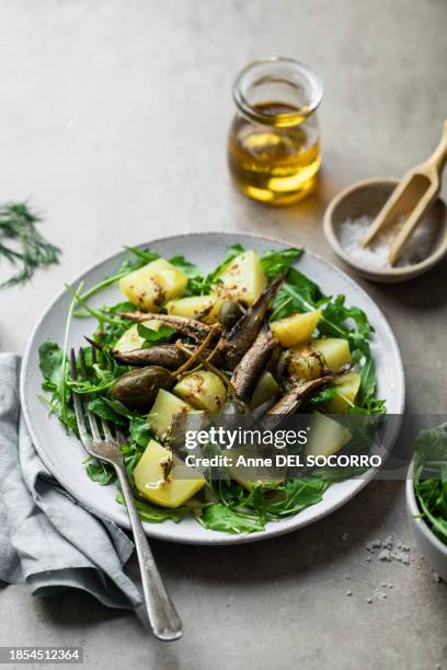 potato salad with sardines fresh dill olive oil and lemon - gekookte aardappel stockfoto's en -beelden