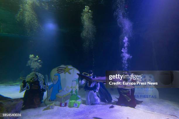 Divers install the Shark Nativity Scene at the Madrid Zoo, on 14 December, 2023 in Madrid, Spain. Zoo de Madrid carries out the traditional dive in...