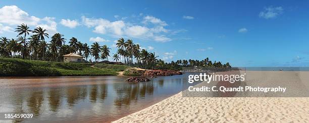 imbassai river and beach - mata de são joão bildbanksfoton och bilder