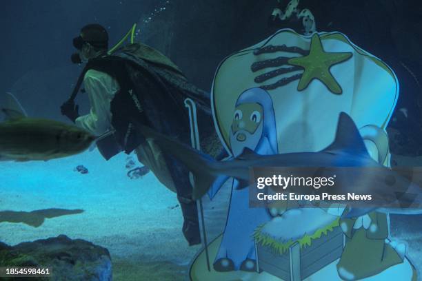 Shark and a diver after the installation of the Shark Nativity Scene at the Madrid Zoo, on 14 December, 2023 in Madrid, Spain. Madrid Zoo carries out...