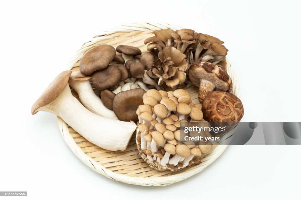 Surtido de hongos