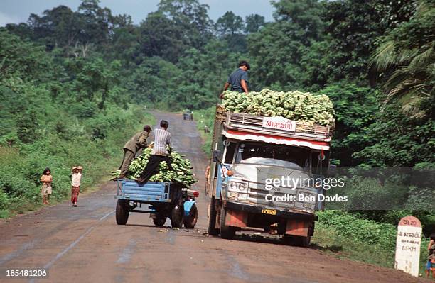 Workers on the Boloven Plateau, in Champassak Province, Southern Laos, load up trucks with bunches of bananas at the end of the harvest. Agriculture...