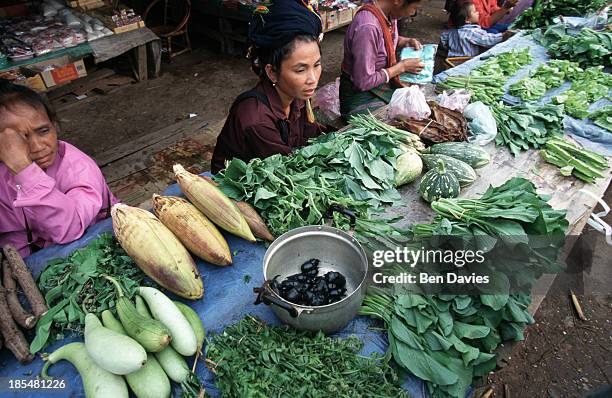 Vendors sit in front of their stall selling vegetables, sweetcorn, fruits and even live beetles in the vast and crowded market of Udomxai in Northern...