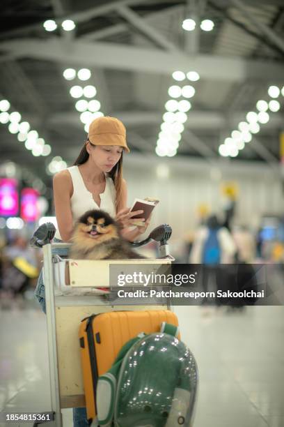 traveller - immigrants crossing sign stock pictures, royalty-free photos & images