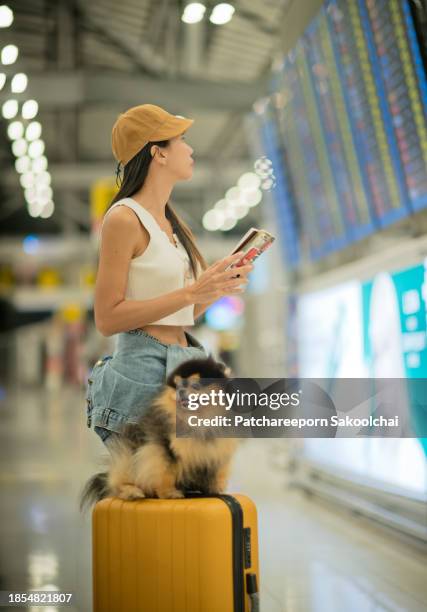 traveller - immigrants crossing sign stock pictures, royalty-free photos & images