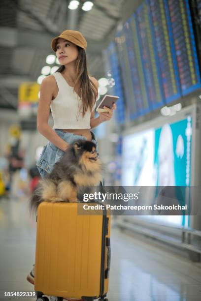 traveller - immigrants crossing sign stock pictures, royalty-free photos & images