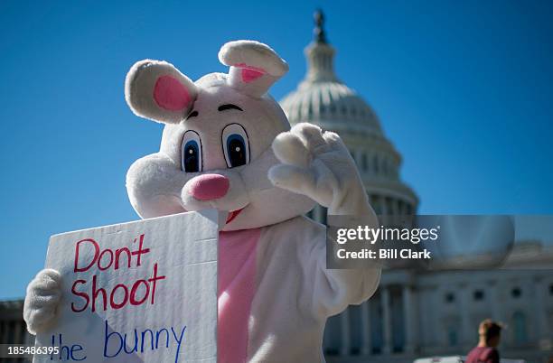 Man in a bunny suit walks around the East Plaza of the Capitol carrying a sign promoting the website purgeday.org on Monday, Oct. 21, 2013....