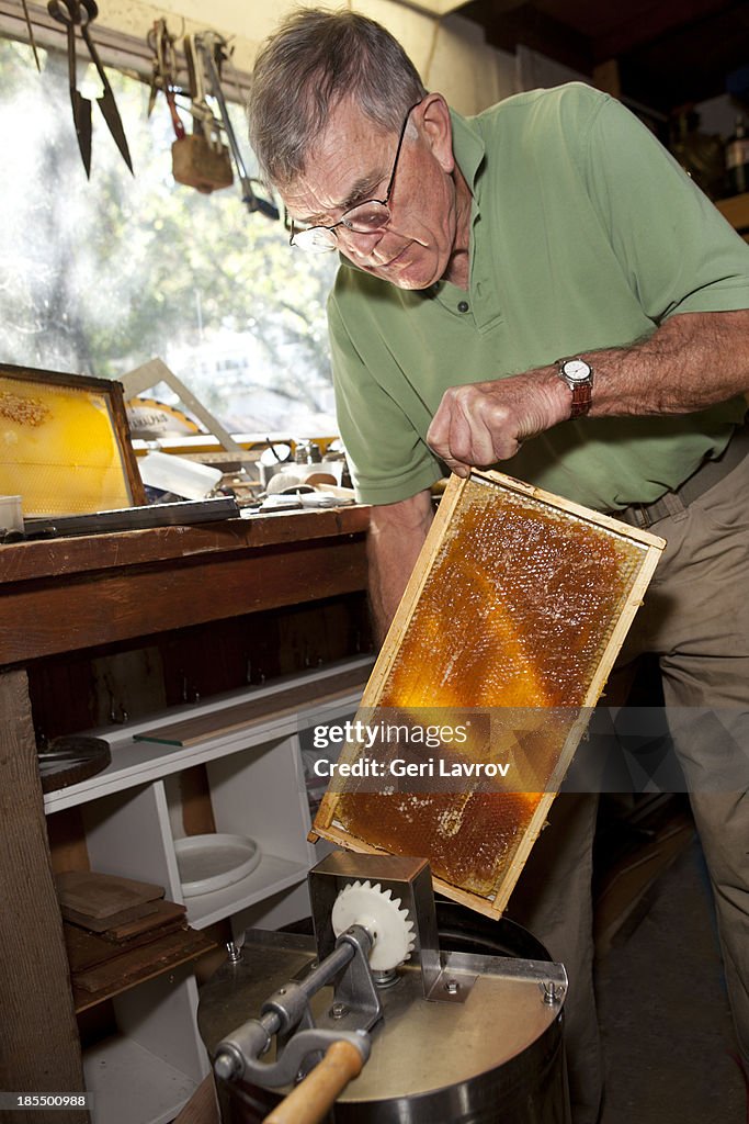 Beekeeper placing a honeycomb into a centrifuge