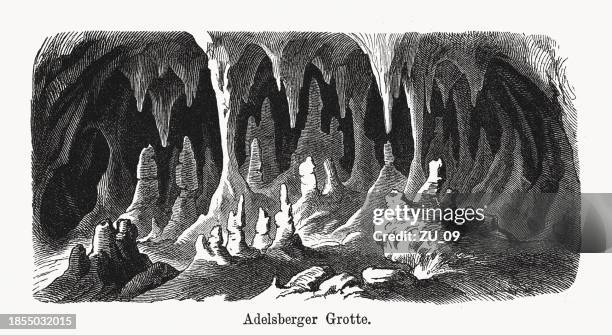 postojna cave (adelsberger grotte), slovenia, wood engraving, published in 1894 - stalactite stock illustrations