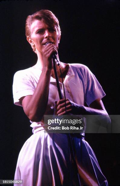 Musician and Singer David Bowie performs in concert at The Forum, April 4, 1978 in Inglewood, California.