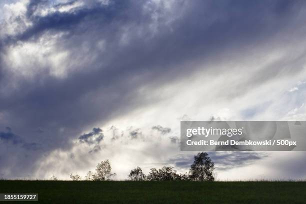 scenic view of field against sky - bernd dembkowski 個照片及圖片檔