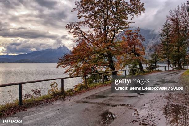 scenic view of lake by trees against sky during autumn - bernd dembkowski stock pictures, royalty-free photos & images