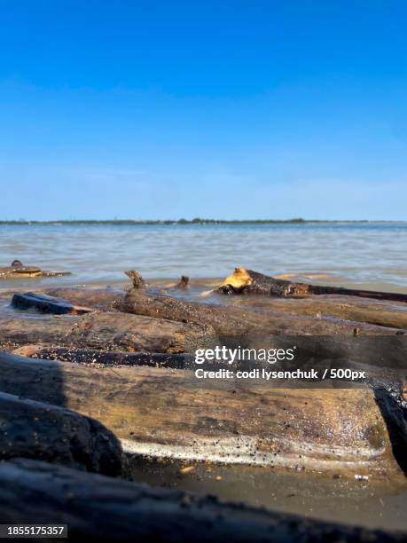 711 Sandy Beach Alberta Stock Photos, HighRes Pictures, and Images