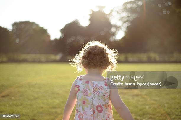 toddler at dawn in park - 3 years brunette female alone caucasian stock pictures, royalty-free photos & images