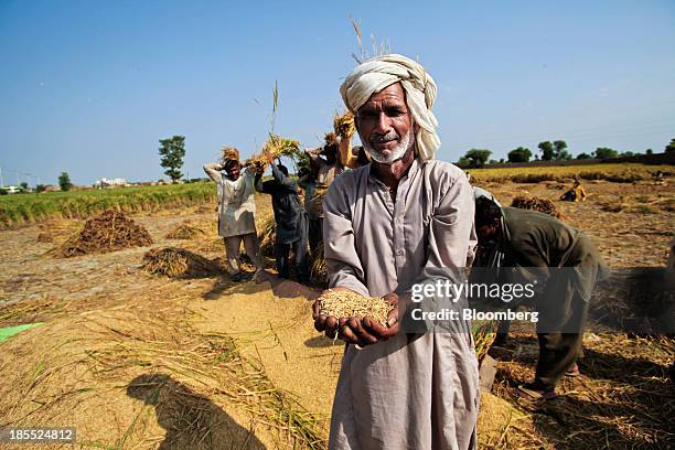 Nawas Rice 154 Chiniot District Stock Photos, High-Res Pictures, and Images ...