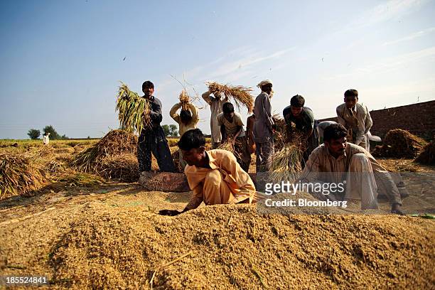 Farm workers thresh rice during a crop harvest in the district of Chiniot in Punjab, Pakistan, on Sunday, Oct. 13, 2013. Prime Minister Nawaz Sharifs...