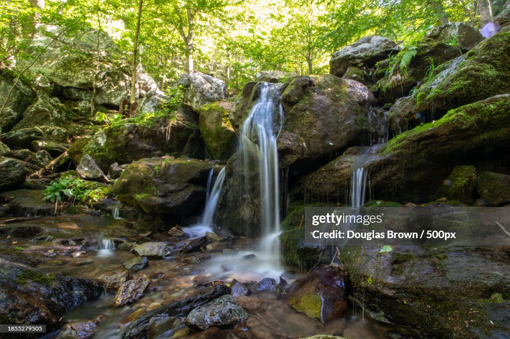 Scenic view of waterfall in forest,Virginia,United States,USA