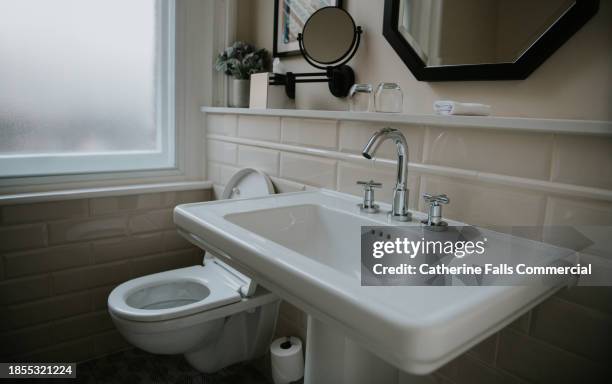 a stylish bathroom sink and toilet - lavabo photos et images de collection