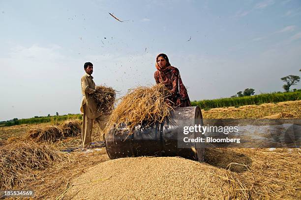 Farm workers thresh rice during a crop harvest in Bucheki village in the district of Faisalabad in Punjab, Pakistan, on Saturday, Oct. 12, 2013....