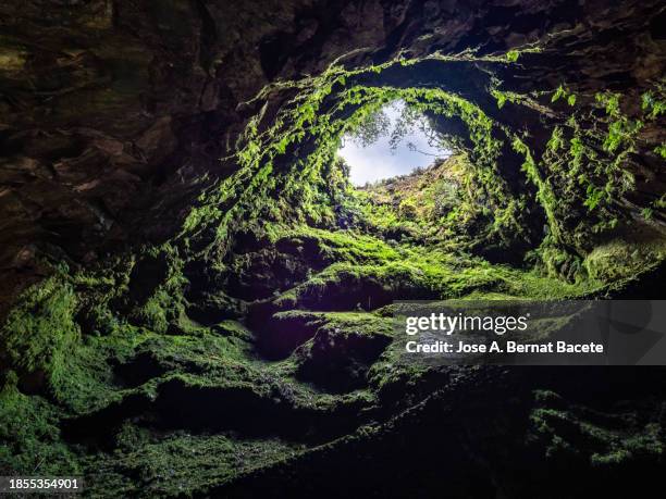 volcanic cave seen from the inside in the shape of a well, located inside a humid forest. - farn stock-fotos und bilder