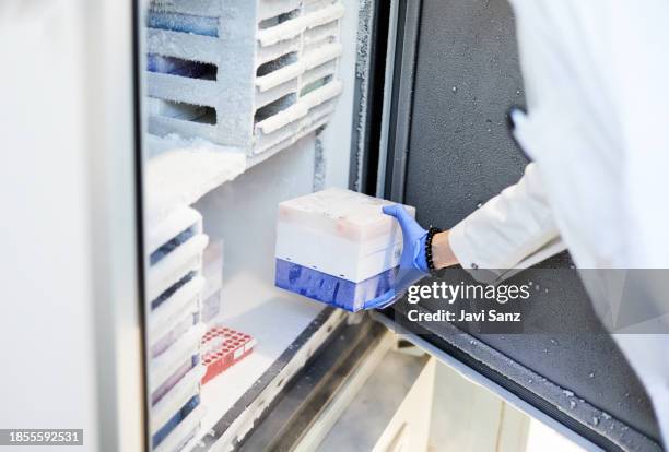 scientist in protective clothing searches freezer for stem cell samples - frys bildbanksfoton och bilder