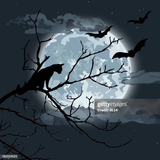 halloween night - flying cat stock illustrations