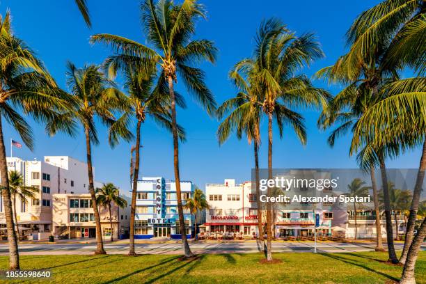 multi-coloured vibrant art deco hotels along the ocean drive on a sunny day, miami beach, florida, usa - miami imagens e fotografias de stock