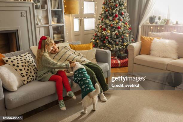 christmas with pets - boxing day tradition stock pictures, royalty-free photos & images