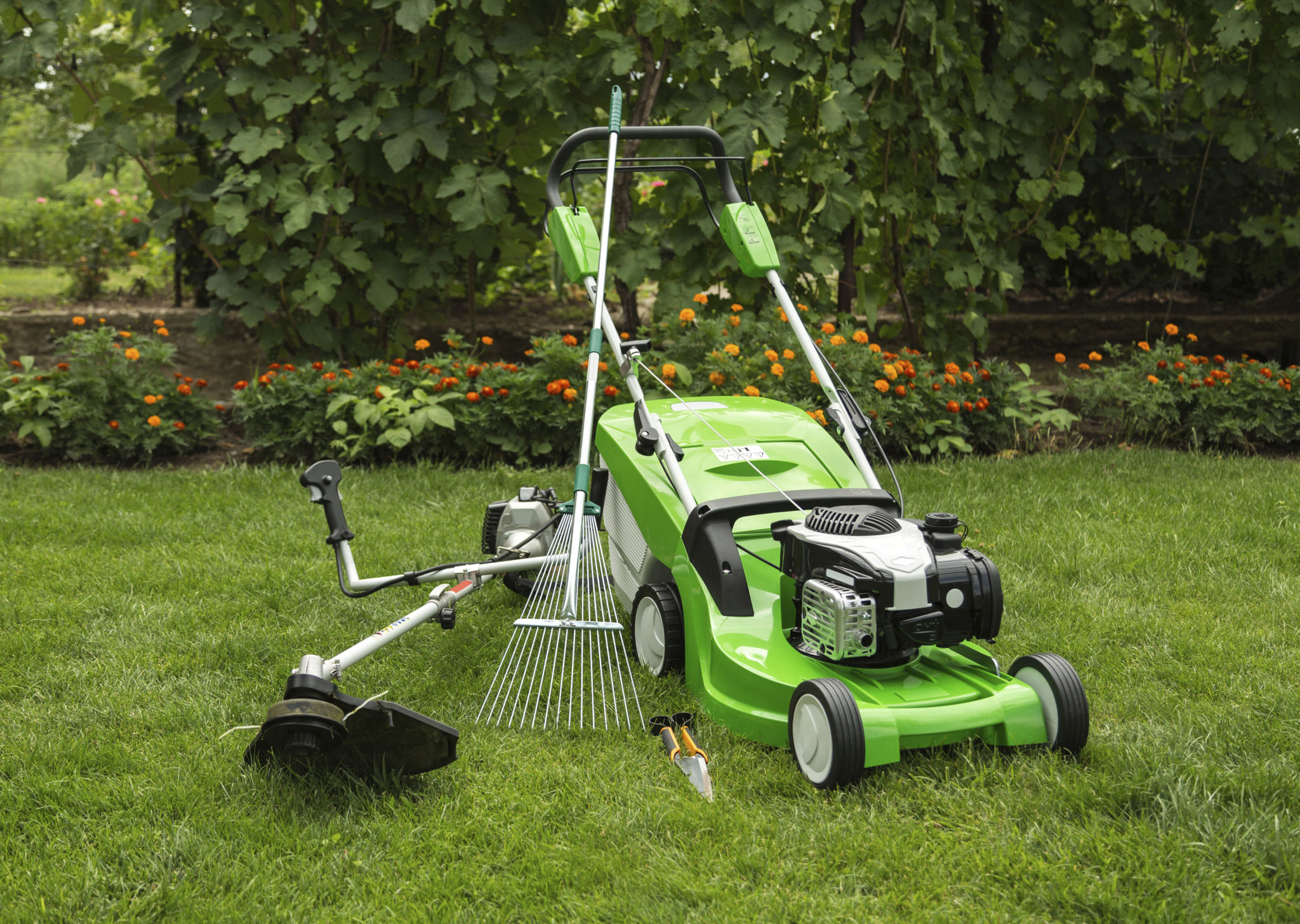 lawn care equipment