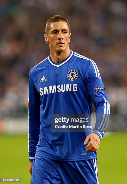 Fernando Torres of Chelsea looks on during the UEFA Champions League Group E match between FC Schalke 04 and Chelsea at Veltins-Arena on October 22,...