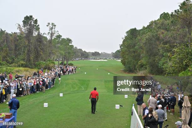 Tiger Woods stands behind his ball on the first tee box during the final round of the PNC Championship at Ritz-Carlton Golf Club on December 17, 2023...