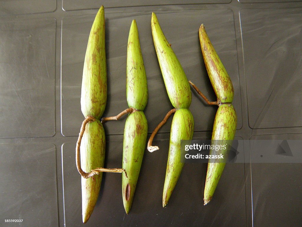 Theikelki