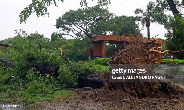 View of a fallen tree following a fierce storm that hit Buenos Aires, on December 17, 2023. In the port city of Bahia Blanca, some 600km southwest of...