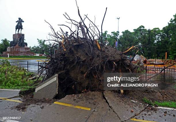 View of a fallen tree following a fierce storm that hit Buenos Aires, on December 17, 2023. In the port city of Bahia Blanca, some 600km southwest of...