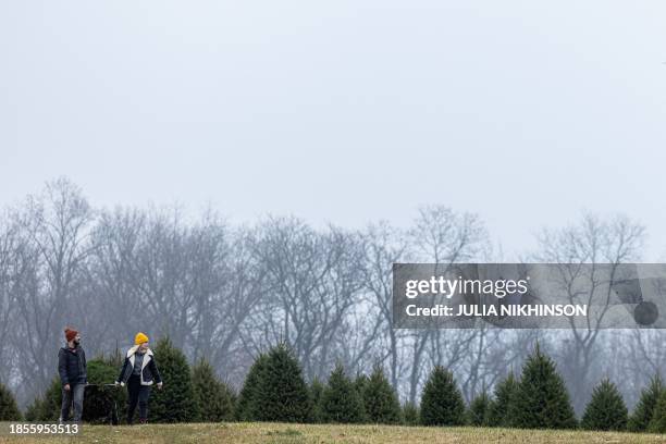 People cart a freshly cut pine tree at Gaver Farm in Mount Airy, Maryland on December 17, 2023.