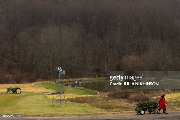 People cart a freshly cut pine tree through Gaver Farm in Mount Airy, Maryland, on December 17 eight days before Christmas.